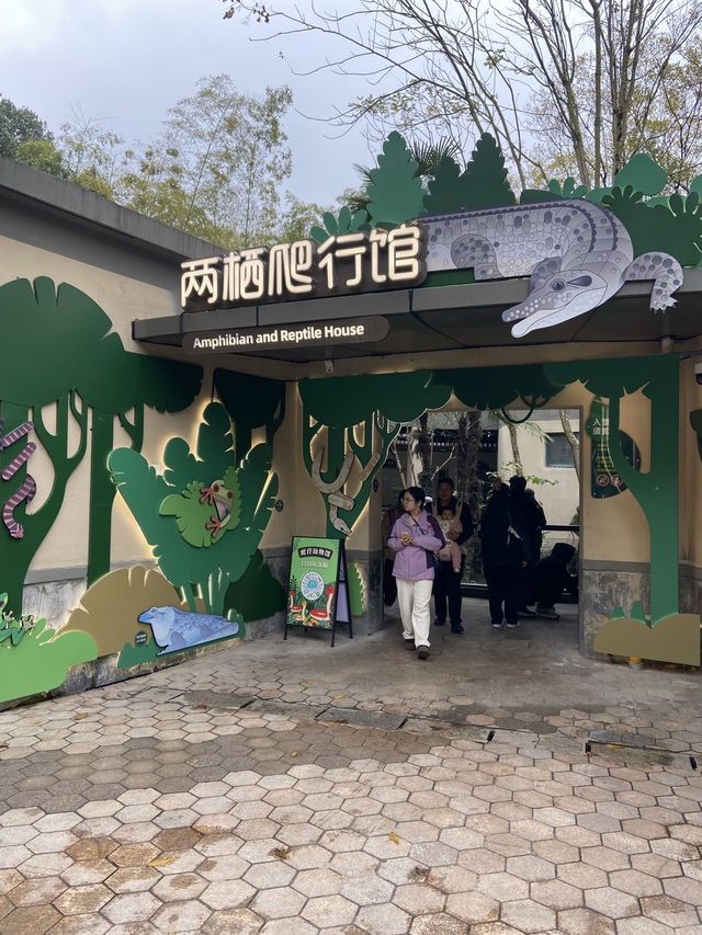 🐘🦒杭州動物園|又去看動物了🥳