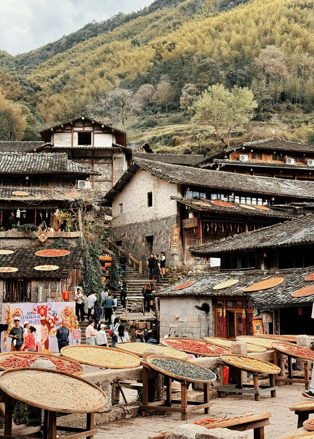 溫州「小婺源」，人生建議看一次曬秋吧
