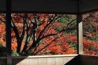 宇治|三室戶寺