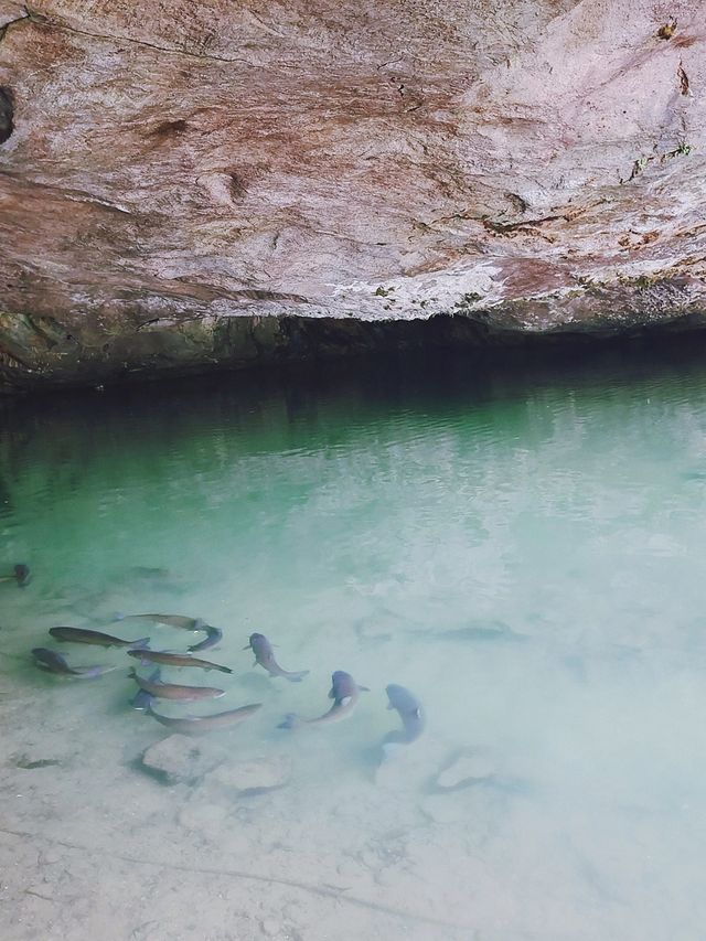 咸寧隱水天然溶洞