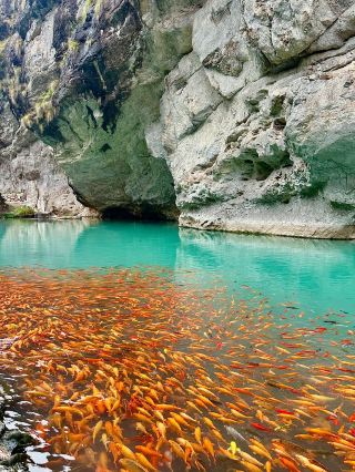 3 Days in Wenzhou: All the Top Attractions