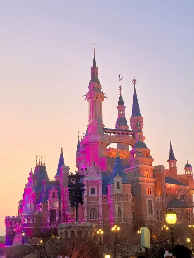 上海ディズニーランド、2015年1月、悲惨な状況！