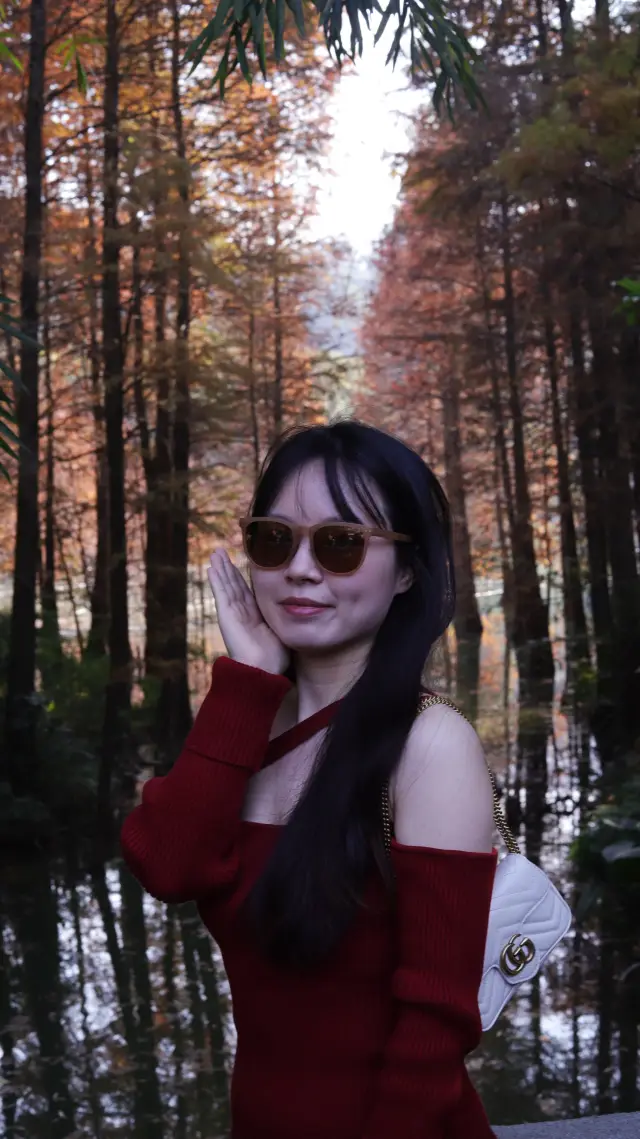 橫掃班味，做回自己！冬天的落葉