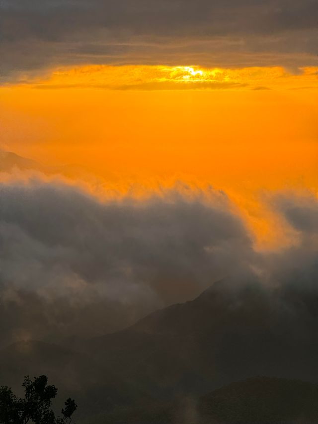 王位山 | 拍趙露思同款靚相