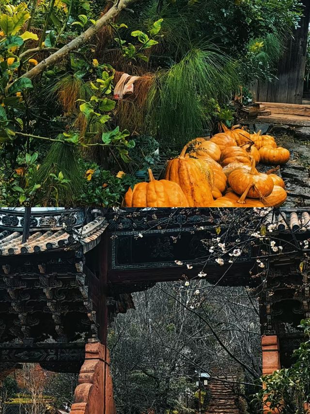 千年白族村莊——諾鄧