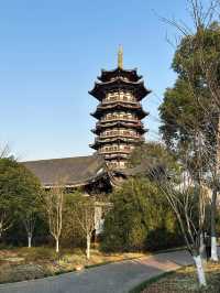 長沙洋湖濕地公園我拍的白鷺塔還可以吧？