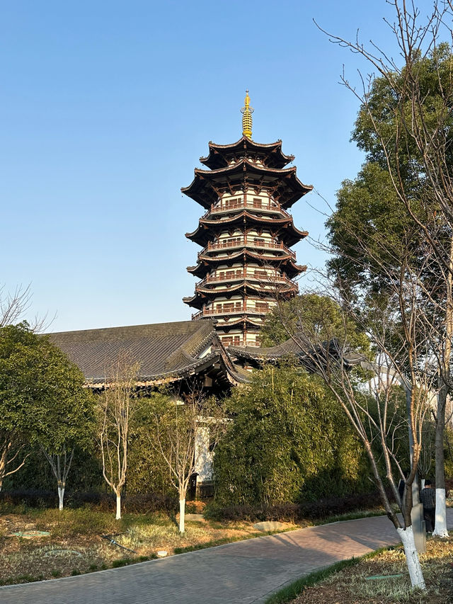 長沙洋湖濕地公園我拍的白鷺塔還可以吧？