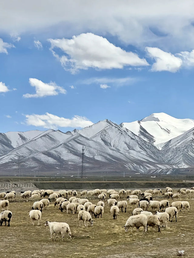 奔赴可可西里，邂逅震撼天地的壯美
