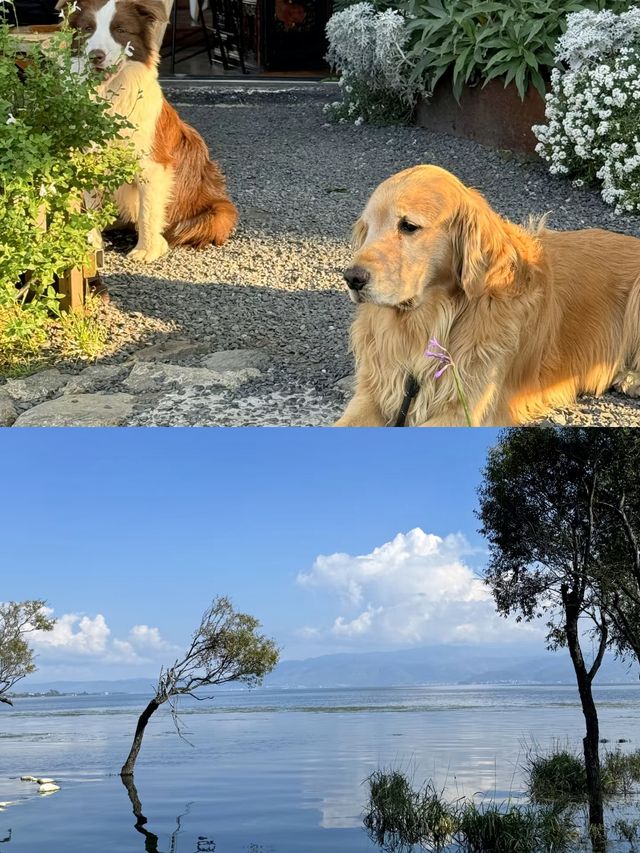 在大理洱朵，邂逅一場夢幻海景之約