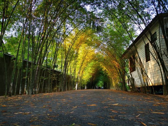 椰樹棕櫚海灘度假村，絕佳度假體驗