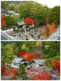 京都·南禪寺｜來京都必打卡的寶藏寺院體驗和服之美