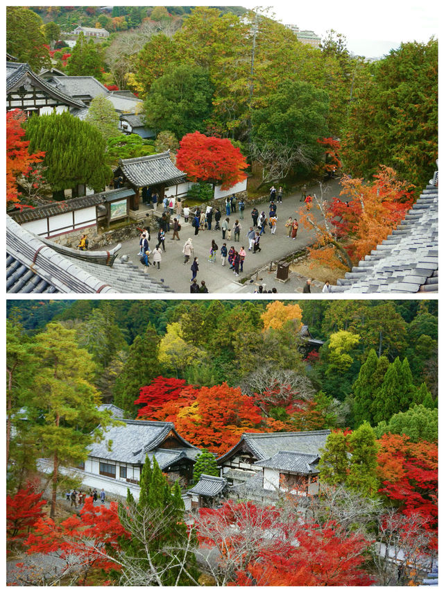 京都·南禪寺｜來京都必打卡的寶藏寺院體驗和服之美
