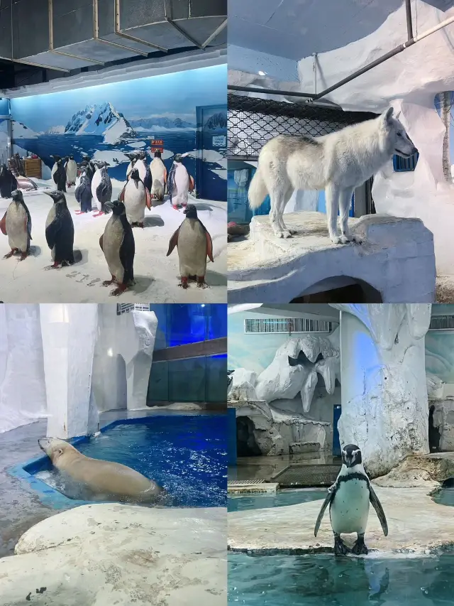 開啟寒假遛娃模式，這個攻略hin不錯哦～