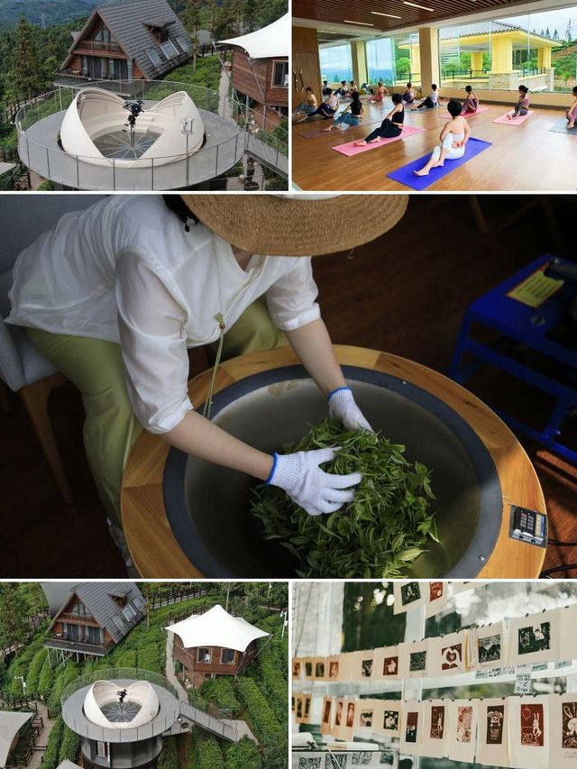 普洱半山，與雲海茶田共舞