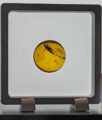 玉碗盛光——珍稀琥珀展