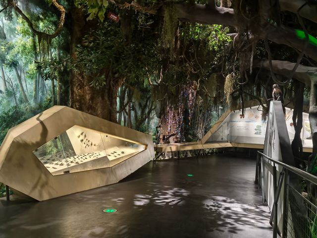 自然博物館•貝林大河生命館