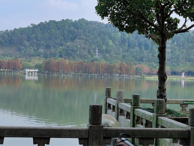順峰山公園｜順德「新十景」之一