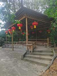 廣東佛山南國桃園|隱藏在佛山南海的『世外桃源』
