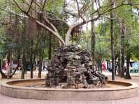 縣城裏的中山公園