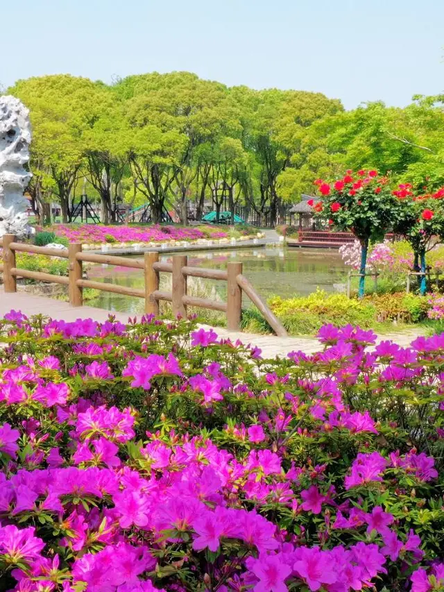 春節無錫3日遊 超詳細攻略別錯過