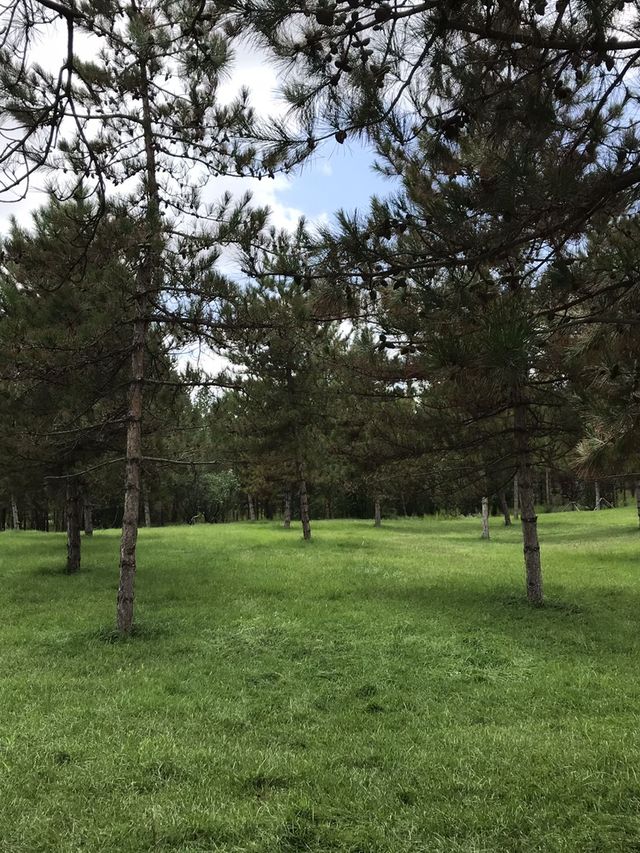 5天暢遊呼和浩特-希拉穆仁 超詳細行程攻略來啦