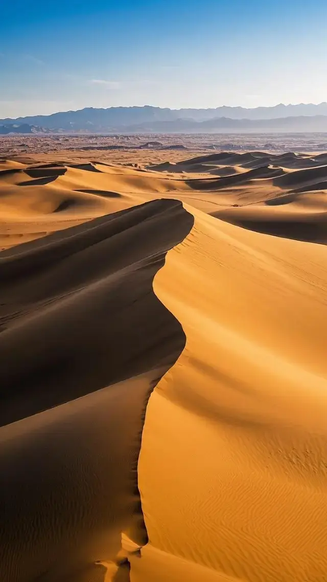 Desert Photography | The Golden Rhapsody of Kubuqi