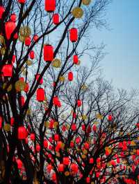 元宵賞燈會好去處，模式口大紅燈籠高高掛
