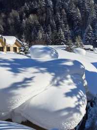 牡丹江-哈爾濱-延邊2日滑雪遊 看這篇就夠