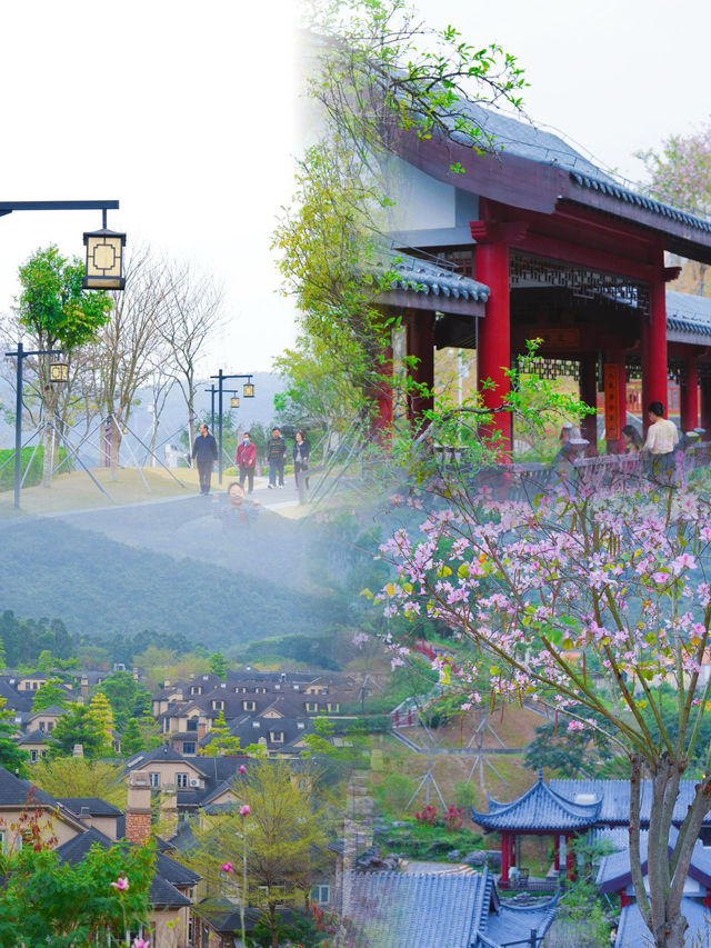 被我挖到！深圳呢處神仙公園靚到爆