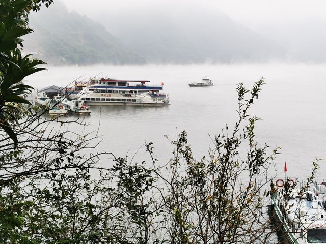 霧中尋美小東江