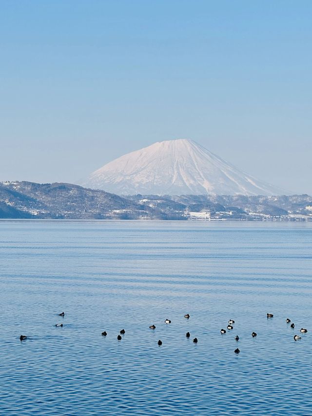 日本6日遊 冬天的浪漫之旅