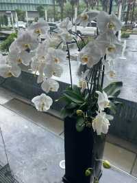 河內JW萬豪酒店 | Hanoi JW Marriott Hotel   評分：9.2/10  