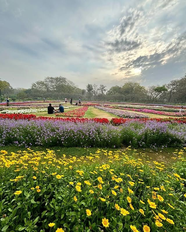 拉克什米維哈爾公園：印度賴布爾的自然綠洲