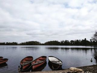 Ellesmere Lake, Crewe, สหราชอาณาจักร: การผสมผสานที่สมบูรณ์แบบระหว่างความเงียบสงบและธรรมชาติ