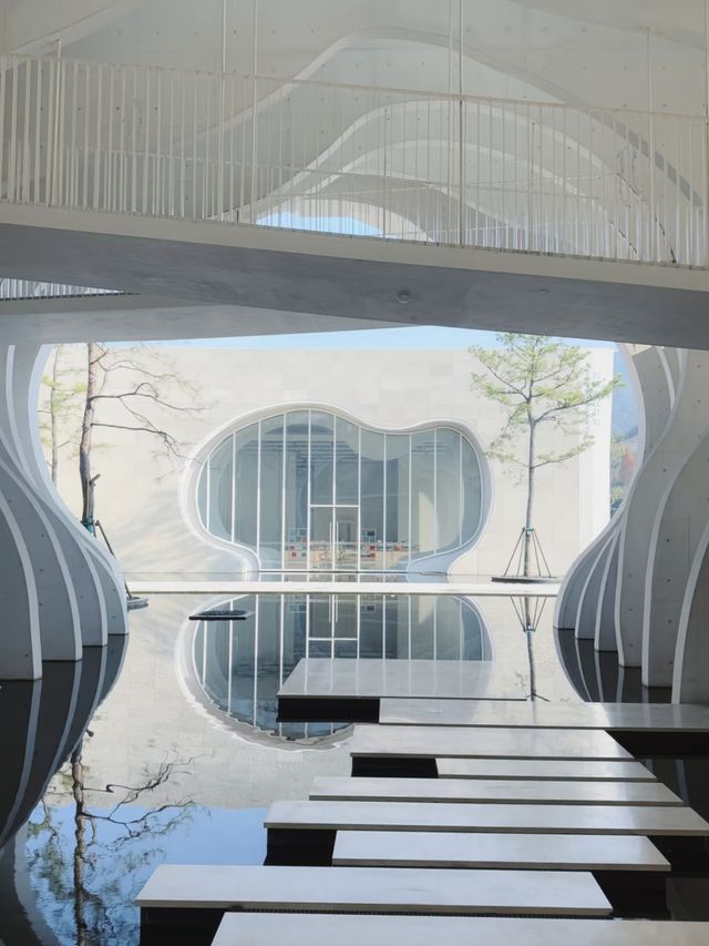 探索宣紙文化園，解開「紙壽千年」的奧秘