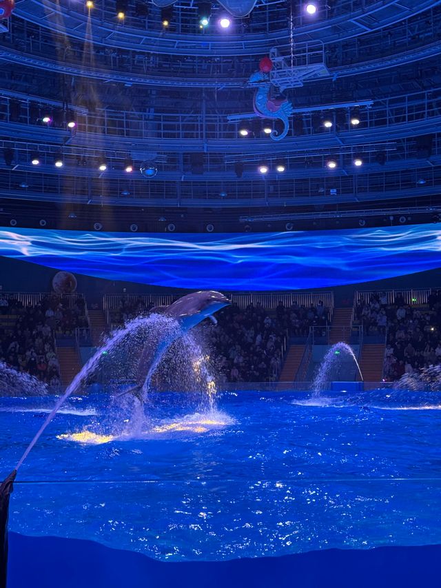 啊啊啊啊啊啊我點解依家先嚟鄭州海昌海洋公園啊