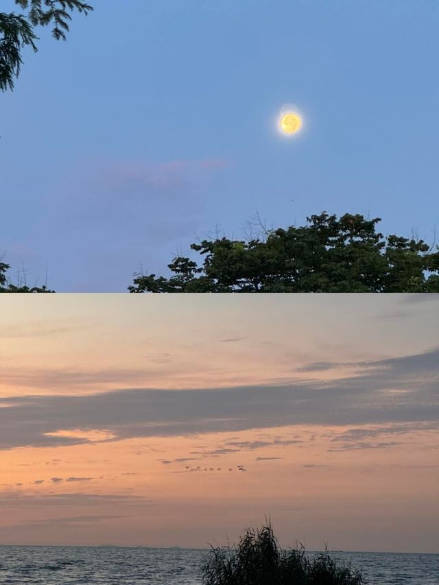 江浙滬，最適合自駕睇日落嘅地方出現啦！