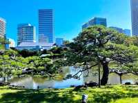 濱離宮恩賜庭園