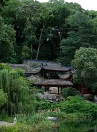 綿陽西山公園（賞花好去處）