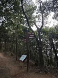 恩上濕地公園：期待與現實