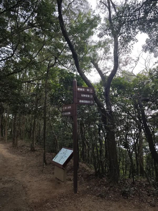 恩上濕地公園：期待與現實