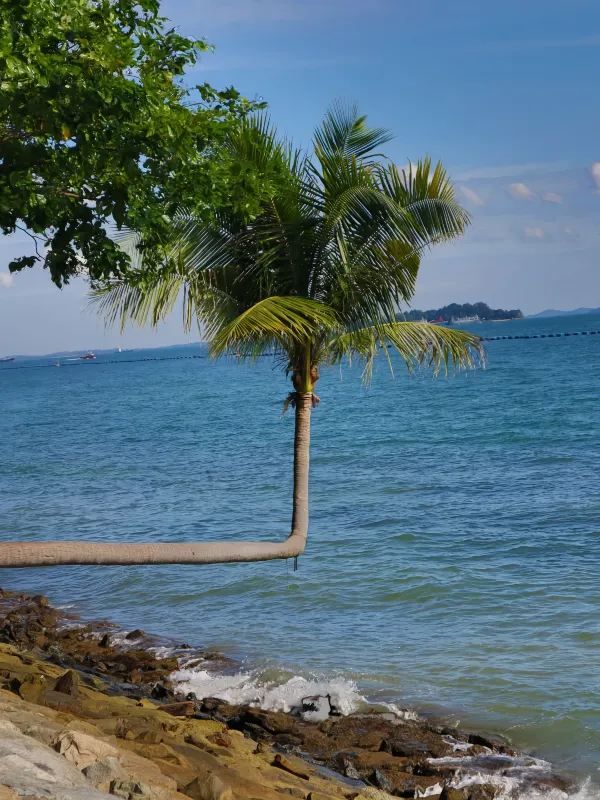 Explore Sentosa Island in Singapore with Ease: A One-Day Itinerary