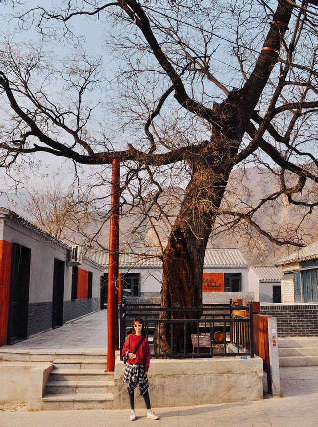 京西100km發現了一座400年明長城堡城 京西100km發現了一座400年明長城堡城