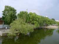 長春 勝利公園——長春第一個公園
