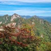 韓國聞慶市 鳥嶺山—攀登雲霧繚繞的韓劇仙境！