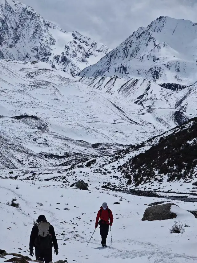 救命！！勒多曼因冰川真係好平！！