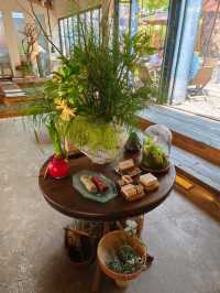 深圳挺有特色的Cafe ~ 甜椒草堂