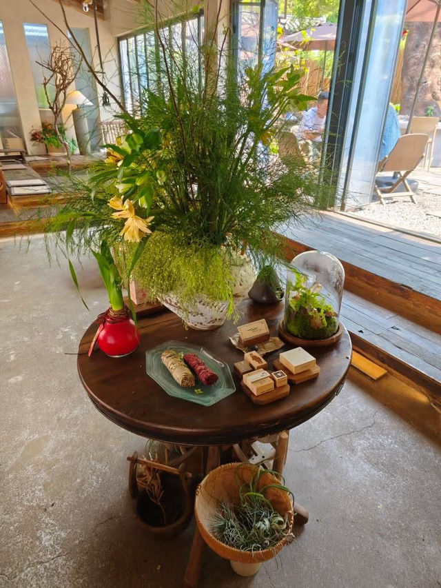 深圳挺有特色的Cafe ~ 甜椒草堂