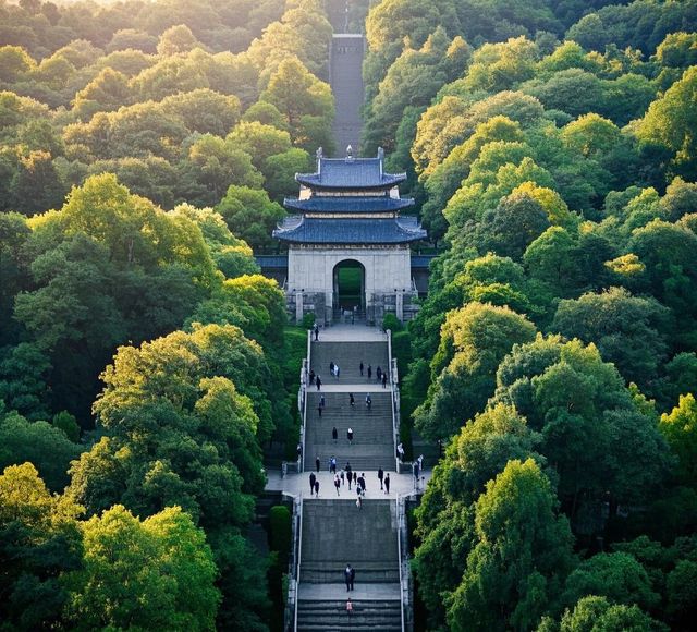 赴約鐘山，邂逅金陵浪漫春光