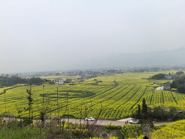 重慶墊江萬畝油菜花田